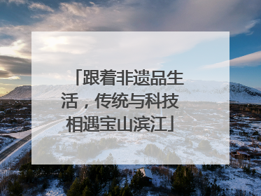 跟着非遗品生活，传统与科技相遇宝山滨江