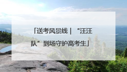 送考风景线｜“汪汪队”到场守护高考生