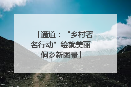 通道：“乡村著名行动”绘就美丽侗乡新图景