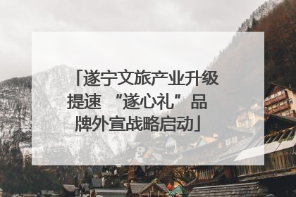 遂宁文旅产业升级提速 “遂心礼”品牌外宣战略启动