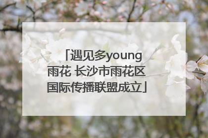 遇见多young雨花 长沙市雨花区国际传播联盟成立