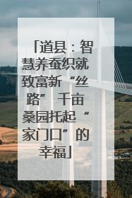 道县：智慧养蚕织就致富新“丝路” 千亩桑园托起“家门口”的幸福