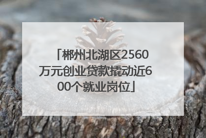 郴州北湖区2560万元创业贷款撬动近600个就业岗位