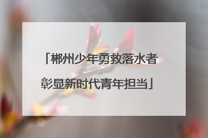 郴州少年勇救落水者 彰显新时代青年担当