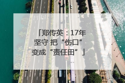 郑传英：17年坚守 把“伤口”变成“责任田”