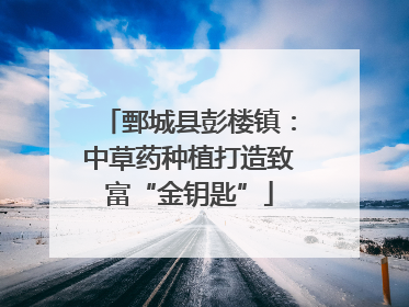 鄄城县彭楼镇：中草药种植打造致富“金钥匙”
