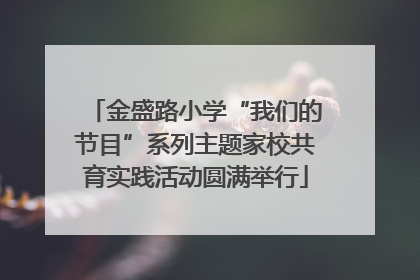 金盛路小学“我们的节目”系列主题家校共育实践活动圆满举行