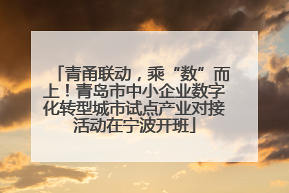青甬联动，乘“数”而上！青岛市中小企业数字化转型城市试点产业对接活动在宁波开班