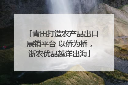 青田打造农产品出口展销平台 以侨为桥，浙农优品越洋出海