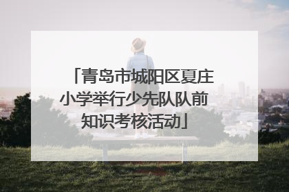 青岛市城阳区夏庄小学举行少先队队前知识考核活动