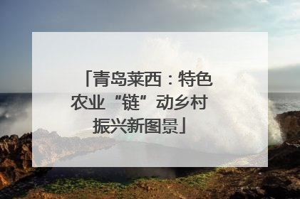 青岛莱西：特色农业“链”动乡村振兴新图景