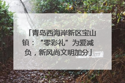 青岛西海岸新区宝山镇：“零彩礼”为爱减负，新风尚文明加分