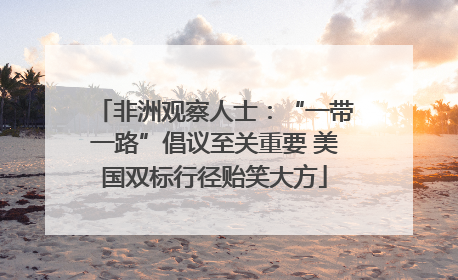非洲观察人士：“一带一路”倡议至关重要 美国双标行径贻笑大方