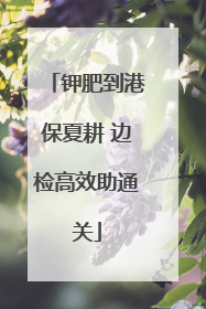 钾肥到港保夏耕 边检高效助通关