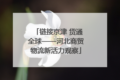 链接京津 货通全球——河北商贸物流新活力观察