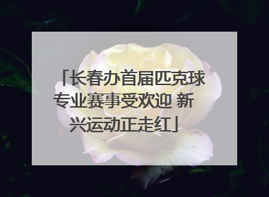 长春办首届匹克球专业赛事受欢迎 新兴运动正走红