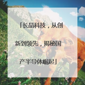 长晶科技，从创新到领先，揭秘国产半导体崛起