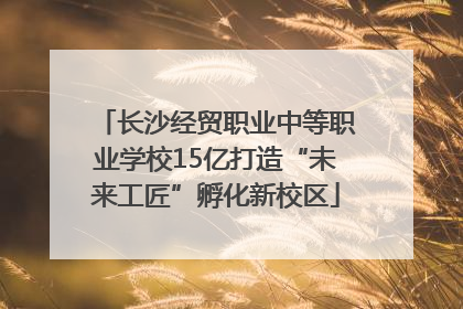 长沙经贸职业中等职业学校15亿打造“未来工匠”孵化新校区