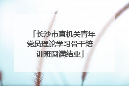 长沙市直机关青年党员理论学习骨干培训班圆满结业