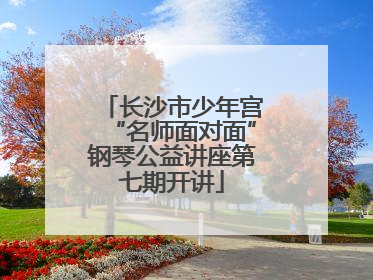 长沙市少年宫“名师面对面”钢琴公益讲座第七期开讲