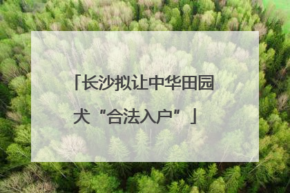 长沙拟让中华田园犬“合法入户”
