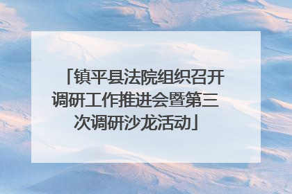 镇平县法院组织召开调研工作推进会暨第三次调研沙龙活动