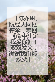 陈乔恩、阮经天同框撑伞，梦回《命中注定我爱你》！双双发文：谢谢我们都没变