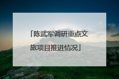 陈武军调研重点文旅项目推进情况