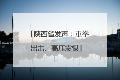陕西省发声：重拳出击、高压震慑