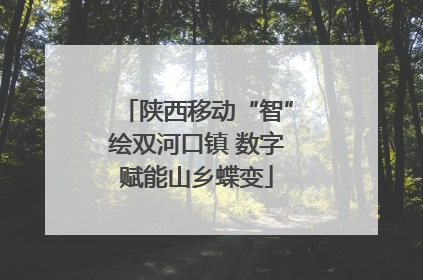 陕西移动“智”绘双河口镇 数字赋能山乡蝶变
