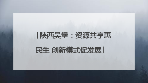 陕西吴堡：资源共享惠民生 创新模式促发展