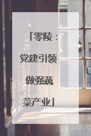 零陵：党建引领 做强蔬菜产业