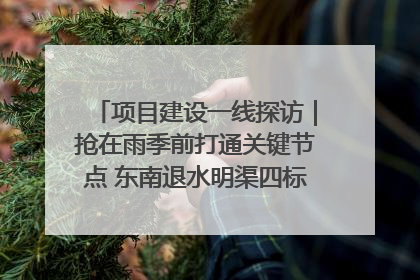 项目建设一线探访｜抢在雨季前打通关键节点 东南退水明渠四标段项目顺利完工
