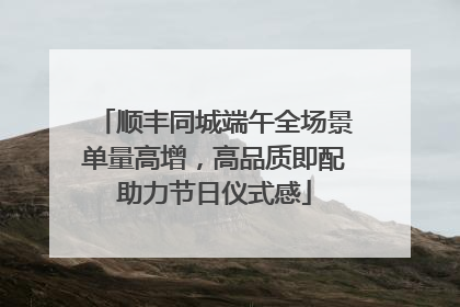 顺丰同城端午全场景单量高增，高品质即配助力节日仪式感