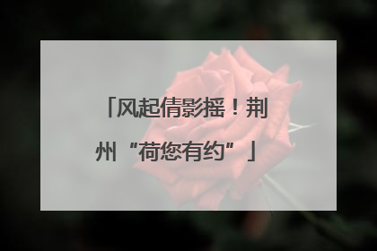 风起倩影摇！荆州“荷您有约”