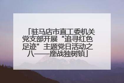 驻马店市直工委机关党支部开展“追寻红色足迹”主题党日活动之八——鏖战独树镇