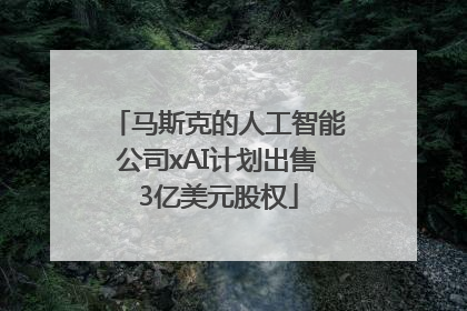 马斯克的人工智能公司xAI计划出售3亿美元股权