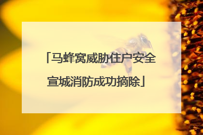 马蜂窝威胁住户安全 宣城消防成功摘除