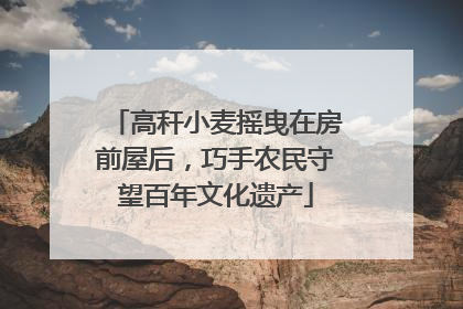 高秆小麦摇曳在房前屋后，巧手农民守望百年文化遗产