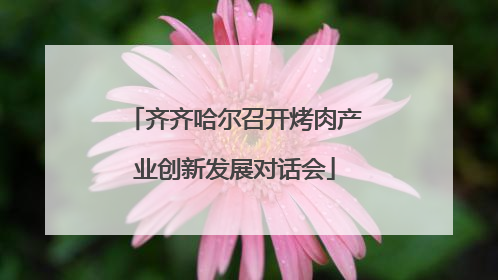 齐齐哈尔召开烤肉产业创新发展对话会