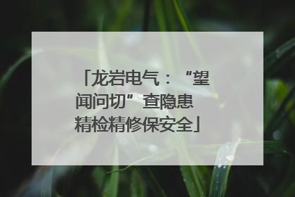 龙岩电气：“望闻问切”查隐患 精检精修保安全