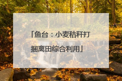 鱼台：小麦秸秆打捆离田综合利用