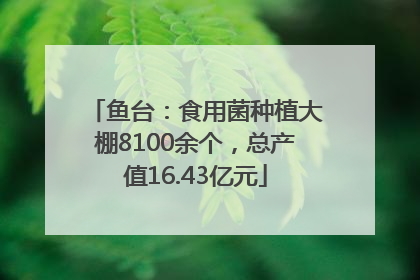 鱼台：食用菌种植大棚8100余个，总产值16.43亿元