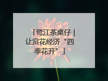 鹭江茶桌仔｜让赏花经济“四季花开”