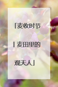 麦收时节丨麦田里的观天人