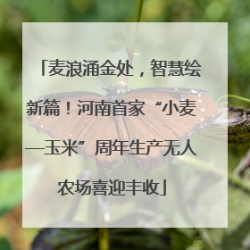 麦浪涌金处，智慧绘新篇！河南首家“小麦—玉米”周年生产无人农场喜迎丰收