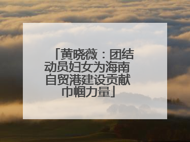 黄晓薇：团结动员妇女为海南自贸港建设贡献巾帼力量