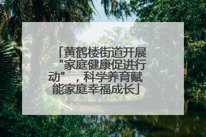 黄鹤楼街道开展“家庭健康促进行动”，科学养育赋能家庭幸福成长