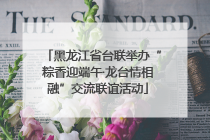 黑龙江省台联举办“粽香迎端午·龙台情相融”交流联谊活动