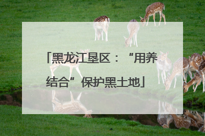 黑龙江垦区：“用养结合”保护黑土地